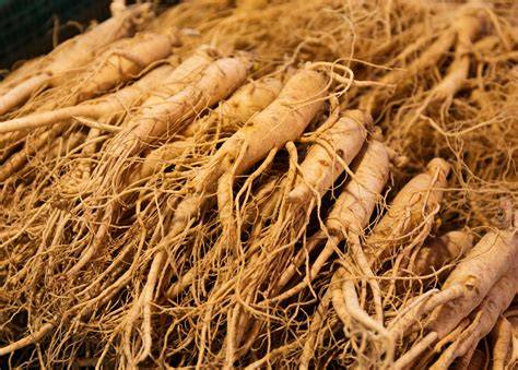ginseng fejbőr regenerálódás infografika