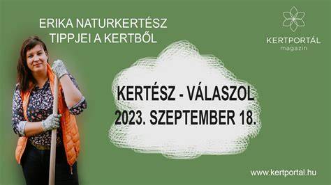 Kertész Erika szólólemez vizuális kontextusa