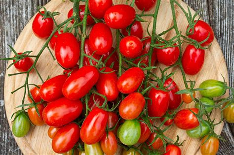 különböző paradicsomfajták