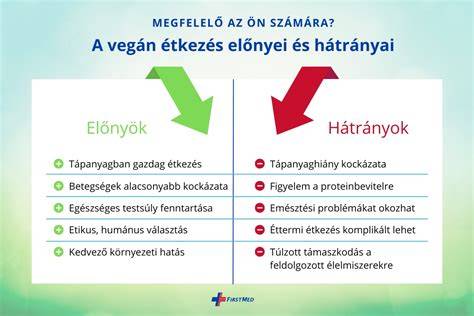 Infografika a vegán és fair trade összetevők szerepéről