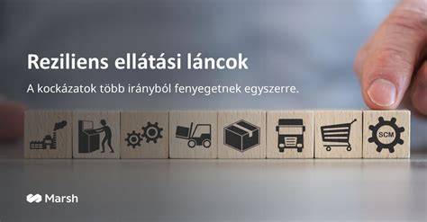 fejbőrtisztítás folyamatát ábrázoló grafika
