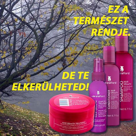 növényi alapú sampon összetevők