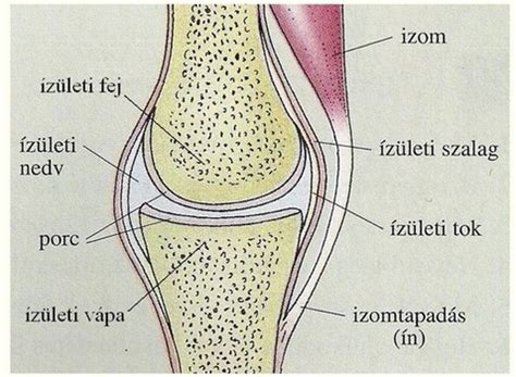 színezőanyagok felépítése és összetevők kapcsolódása