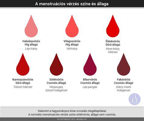 Vérzés fajtái diagram