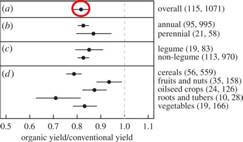 Összehasonlítás: hagyományos vs. organikus hajfesték