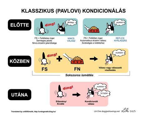 Infografika: gőzös vs. klasszikus vasaló összehasonlítása