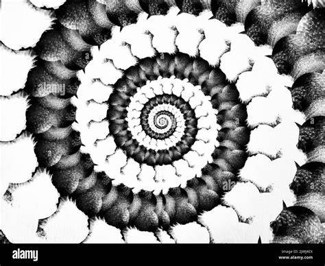 spiral-kefe-kezeles