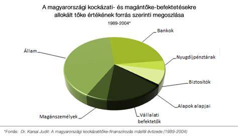 Grafikon az árbevétel és jegyzett tőke összehasonlításáról