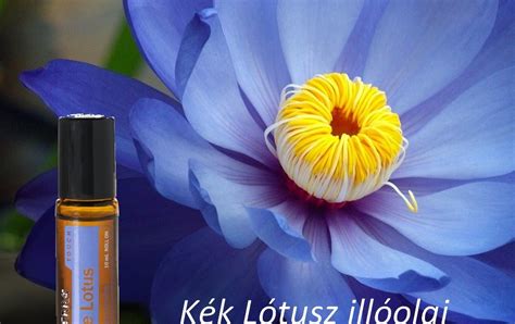 Kék lótusz és keratin komplexum vizuális ábrája