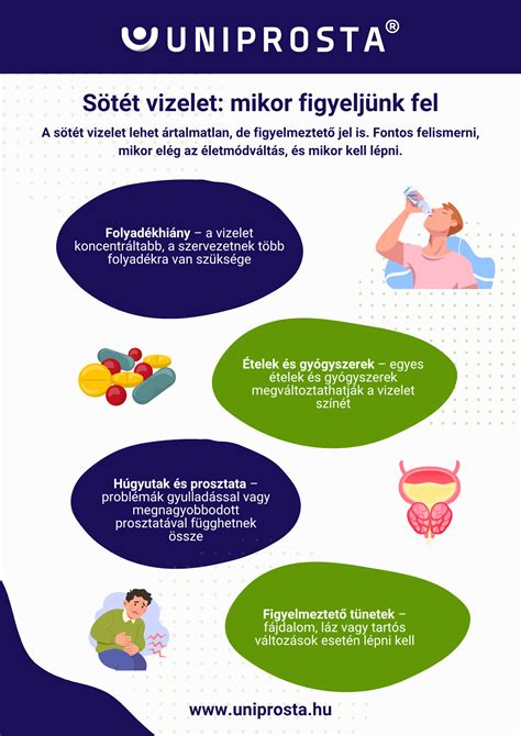 Infografika: Korpa típusai és megoldások