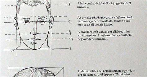 Infografika: emberi fej arányai és a szem-orr-száj közti kapcsolatok