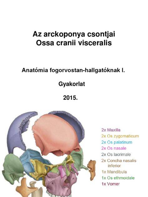 Az arckoponya csontjai