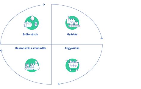 A hajciklus ábrája