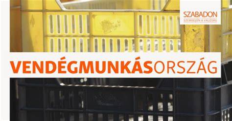 Fodrászati munka és mosolygó vendégek a szépségnapon