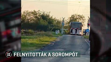 Roncsvizsgálat közben készült felvétel