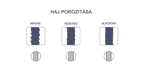Hajszálak porozitása és szálvastagsága - infografika