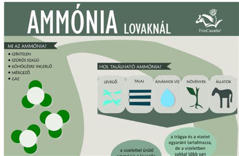 Ammónia molekula szerkezete