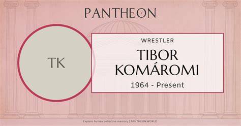 Infografika: Komáromi Tibor karrier-útja