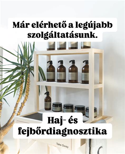 Hajhullás és zsíros fejbőr együttállása - döntési fa és termékpárosítás