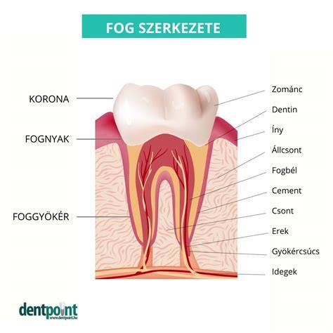 Ábra: árbóc és kötélzet felépítése