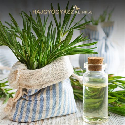 Természetes hajápolás összetevői