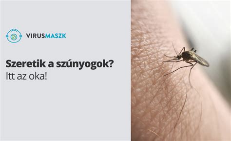 Szúnyogok mint a bőrférgesség terjesztői