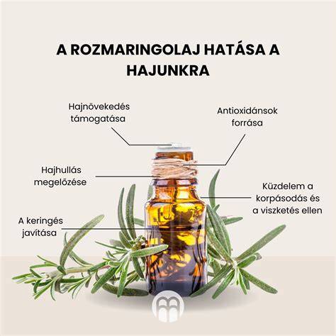 Infografika: Amla hajolaj összetevői és hatása a fejbőrre