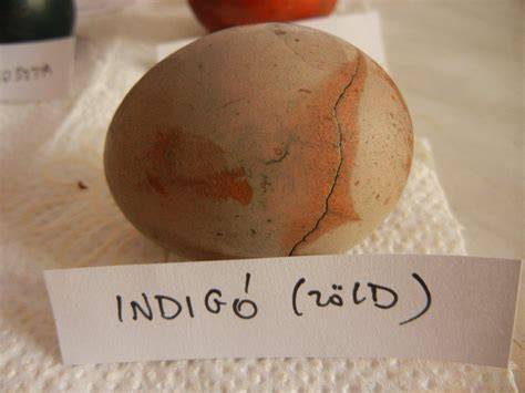 Növényalapú összetevők a Logona festékekben, hennával és indigóval