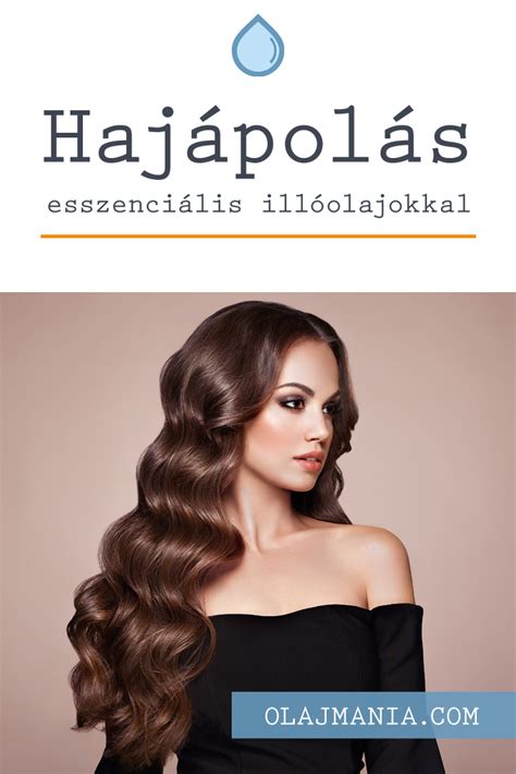 A haj szerkezetének ábrája