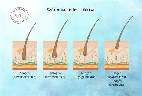 illustráció a szőrtelenítés lépéseiről és hatásáról