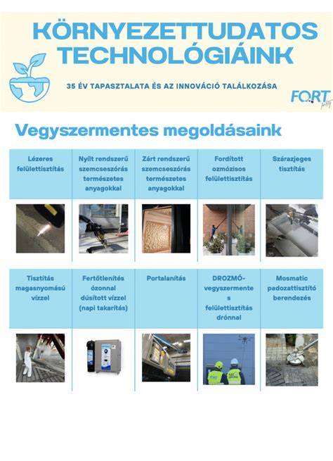 Kiegyensúlyozott arcszőrzet ápolási folyamatát bemutató infographic: tisztítás, balzsamozás, olajozás, vágás