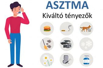 Infografika: Seborrhea tünetei, kiváltó okai és kezelési lehetőségei