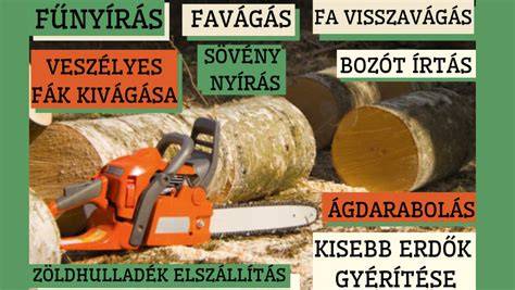 Diszno_sörtés_hajkefe_kivitelezése_infografika