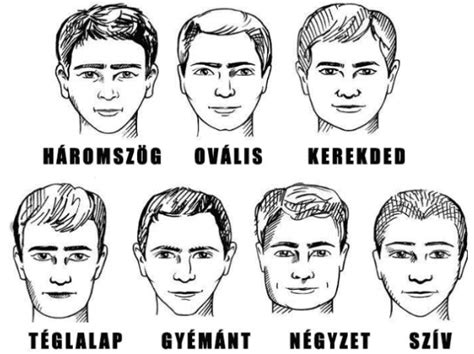 Különböző frizurák gyűjteménye