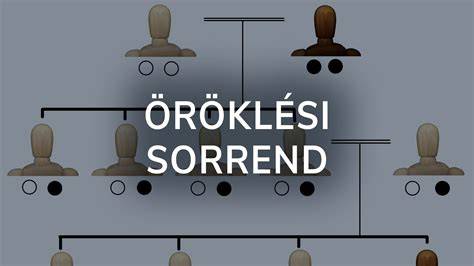 Ábra: Lóápolási eszközök és sorrend