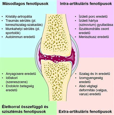 Általános ábra: Ízületi betegségek és gyulladások kapcsolata a kutya életkorával