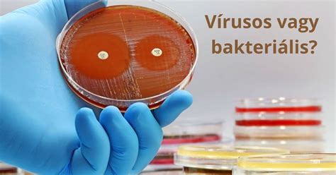 Bakteriális fertőzések illusztrációja