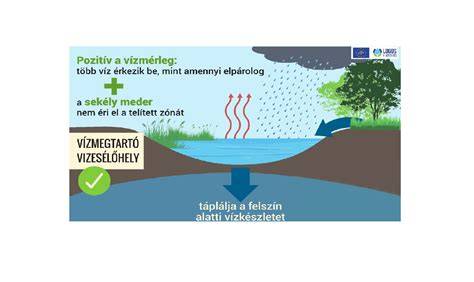 Mamabarát fodrászati megoldások diagram
