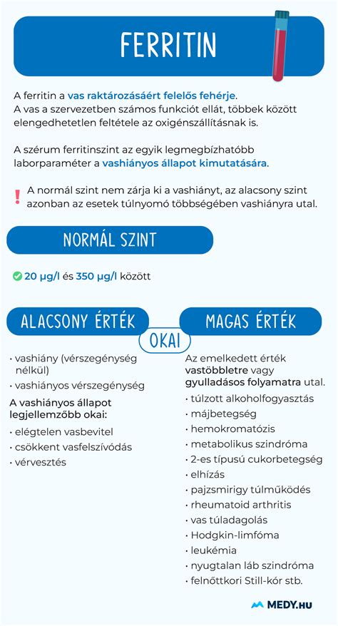 Infografika: vasfelszívódás és ferritin kapcsolata