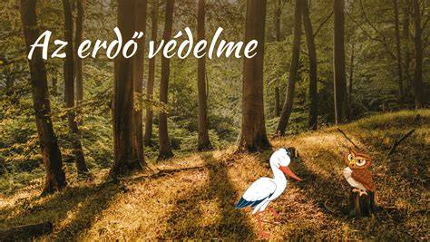 Színvonalas pályatérkép a temető környékéről és az erdő egy részéről