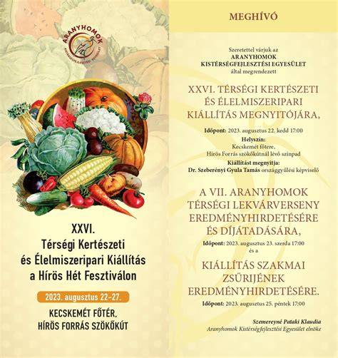 térségi tehetségbemutató kiállítás átlátható pályázati eredmények
