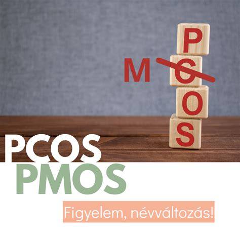 Logo és PCOS folyamatábra