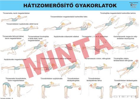 alacsony hát erősítő gyakorlatok áttekintése