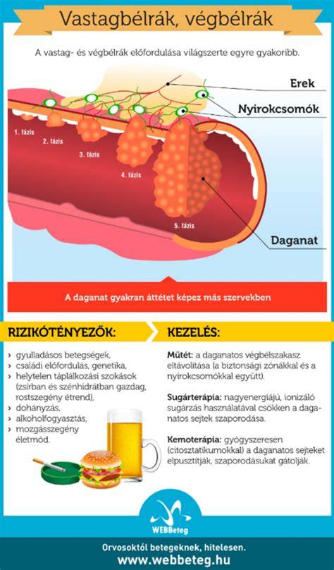 Infografika: graftok száma és hajszálak kapcsolata
