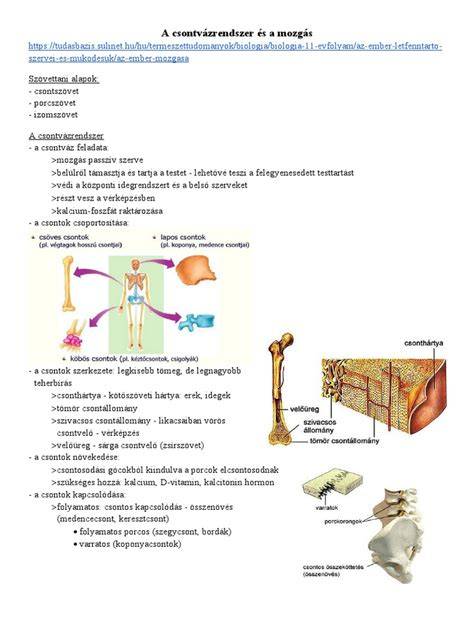 fokon fokozatos világosítás technikák ábra
