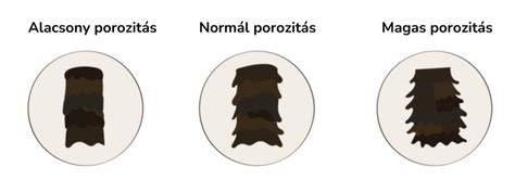 Infografika: A haj kutikula állapota és a porozitás mérése