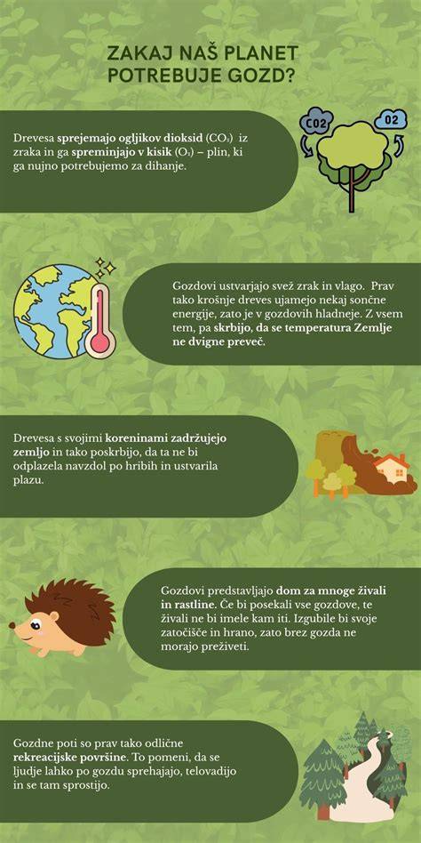 Infografika a szakállápolási rutinról