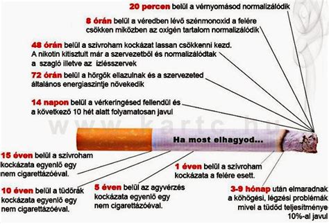 A dohányzás káros hatásai a sejtekre