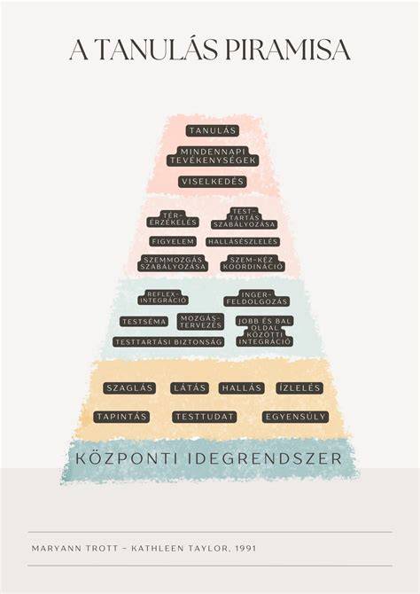 Infografika: Fejbőr ápolási piramisa - hidratálás, nyugtatás, védelem, regeneráció
