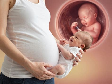 Infografika: Hogyan fejlődik a baba haja a méhen belül és a születés után